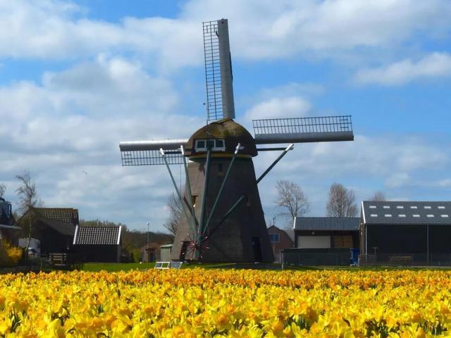 国外最大的风力发电站（荷兰的风让火车跑起来）(2)