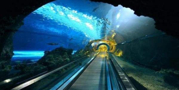 海底隧道长多少公里是世界上最长的海底公路城管隧道,目前世界最长的海底沉管隧道是哪里图2