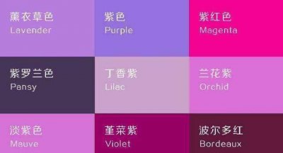 ​什么颜色加什么颜色等于紫色，什么颜色和什么颜色混合在一起可以变成什么颜色
