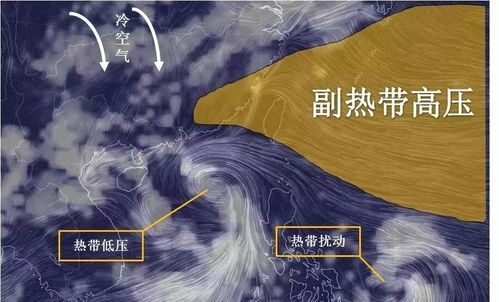 台风的形成简单说：台风怎么产生