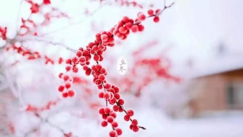 中国立冬吃什么,在立冬这一天英语图1