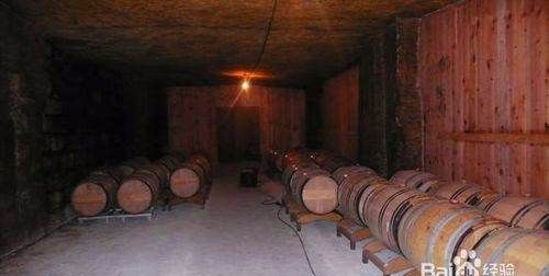 红酒种类介绍,智利最著名的红葡萄酒品种是什么图14