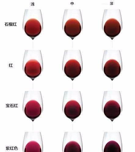 红酒种类介绍,智利最著名的红葡萄酒品种是什么图11