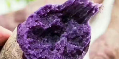 ​紫薯蒸多长时间,紫薯蒸多长时间才能熟