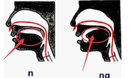 怎么区分前后鼻音,前后鼻音的区别口诀视频图2