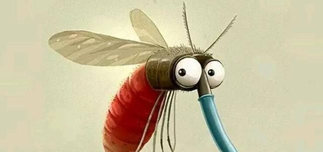 为什么初夏的蚊子很厉害