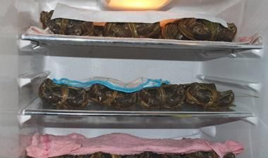熟螃蟹放在冰箱里面可以保存多长时间