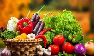 ​含蛋白质的蔬菜水果有什么,什么水果蔬菜蛋白质含量高