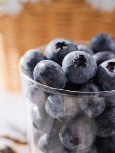 ​蓝莓浆果的功效与作用（蓝莓浆果有什么功效与作用）