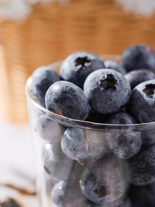 蓝莓浆果的功效与作用（蓝莓浆果有什么功效与作用）