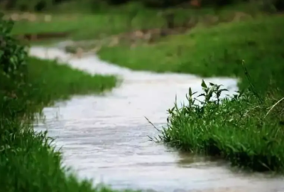 小河淌水是云南哪个地方的民歌,小河淌水表达什么意境图1